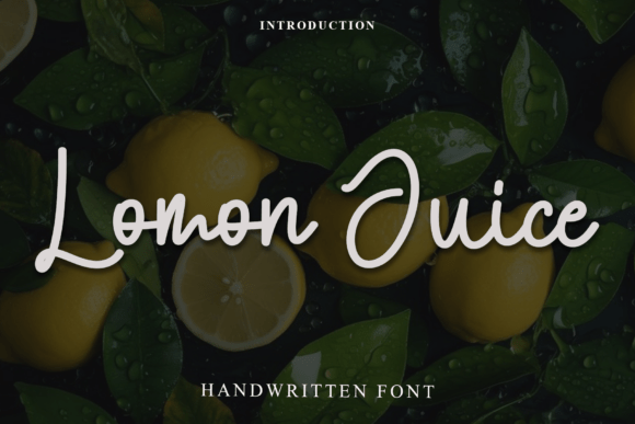 Lomon Juice Font Review: A Designer’s Take