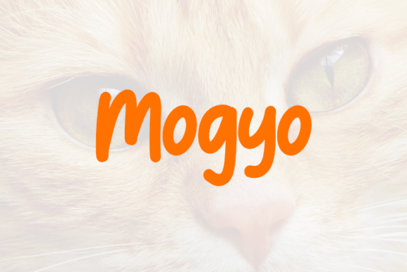 Mogyo: The Script Font That Elevates Small Business Branding
