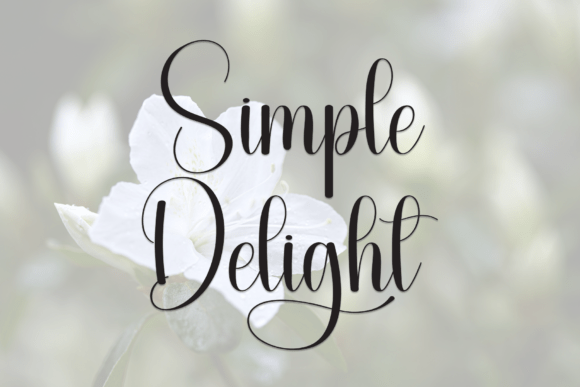 Simple Delight: Elevating Web Design with Expressive Script Typography