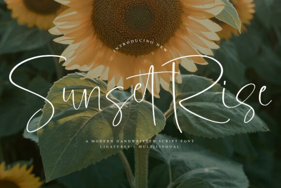 Sunsetrise: A Modern Script Typeface for Editorial Elegance