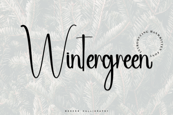 Wintergreen: A Modern Script Typeface for Editorial Design